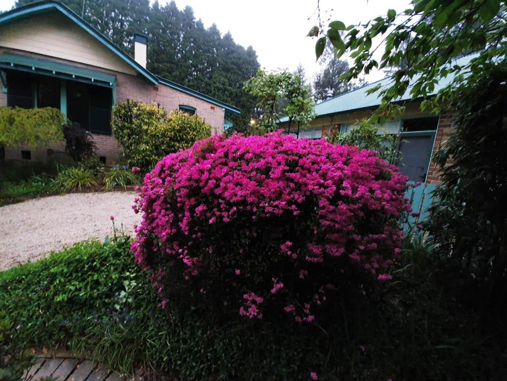 Carcoola Cabin